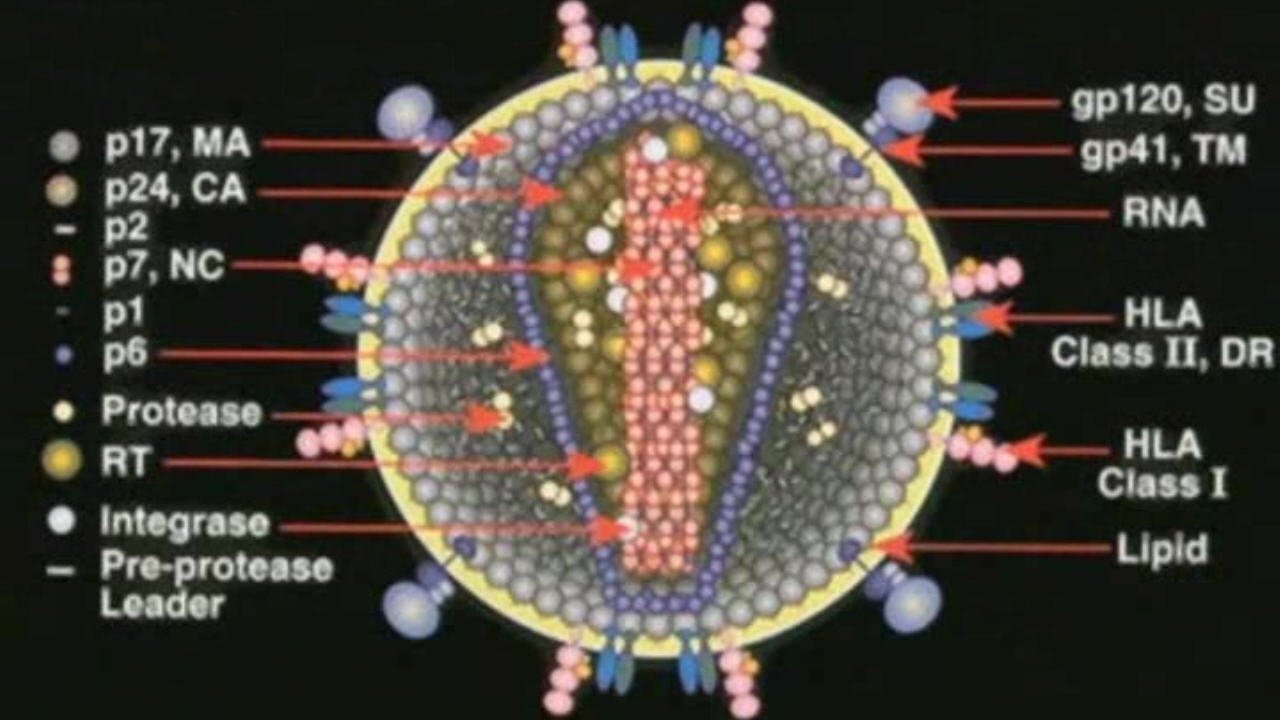 Deconstructing the Myth of Aids