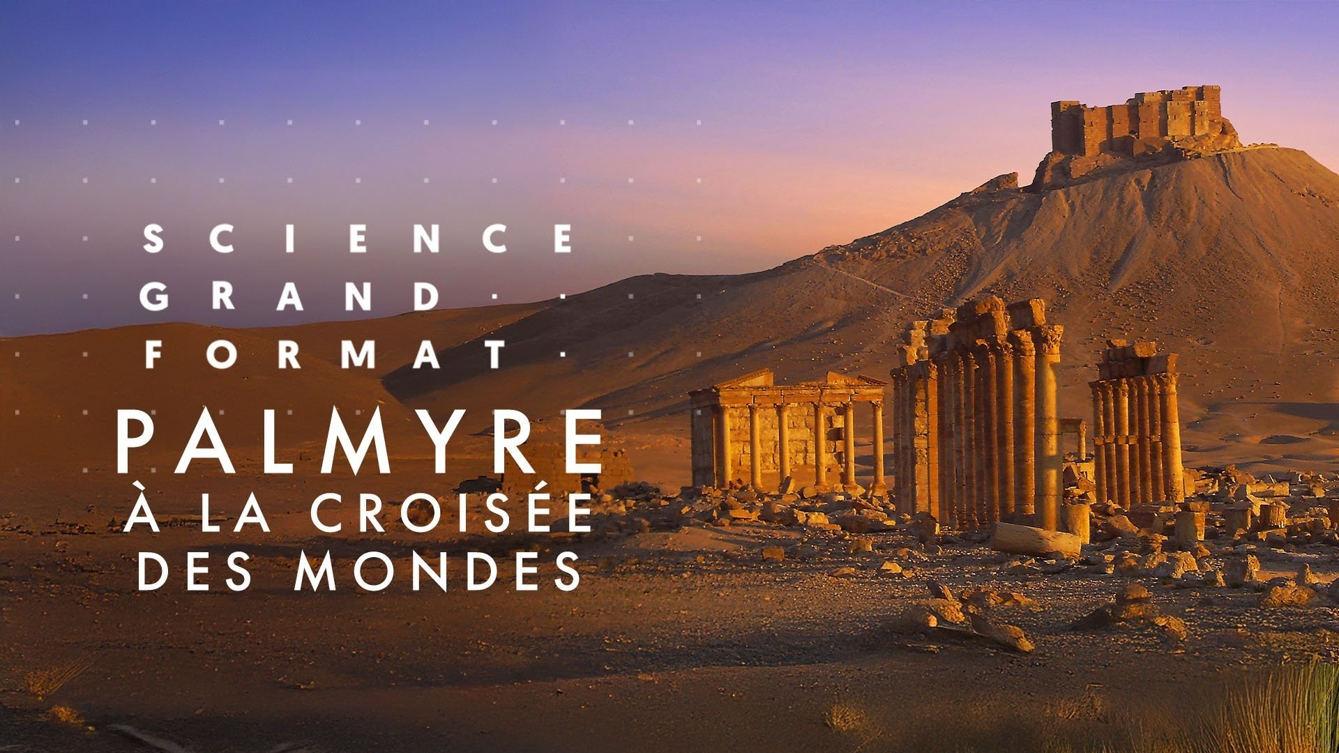 Palmyre, à la croisée des mondes