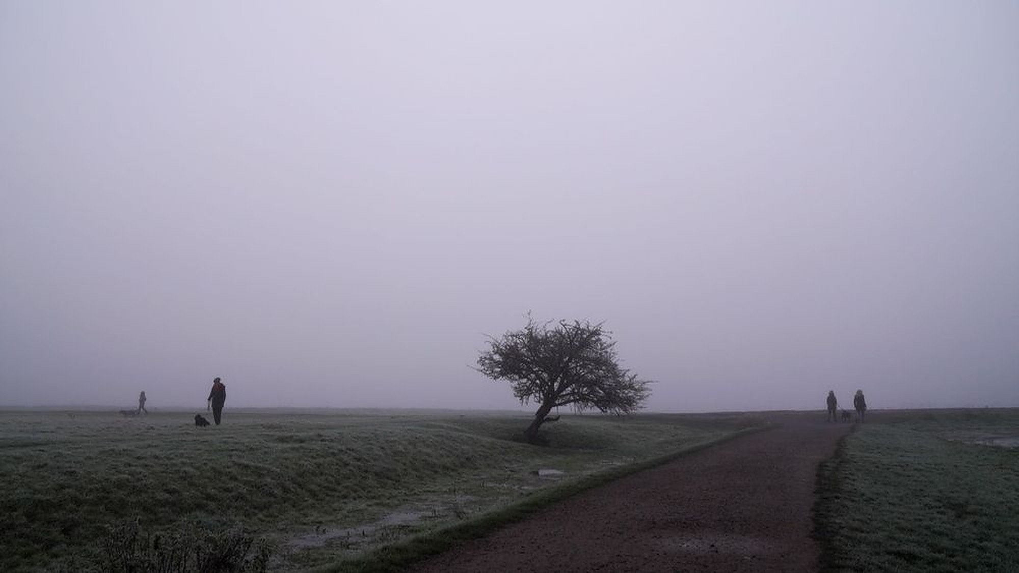 Port Meadow
