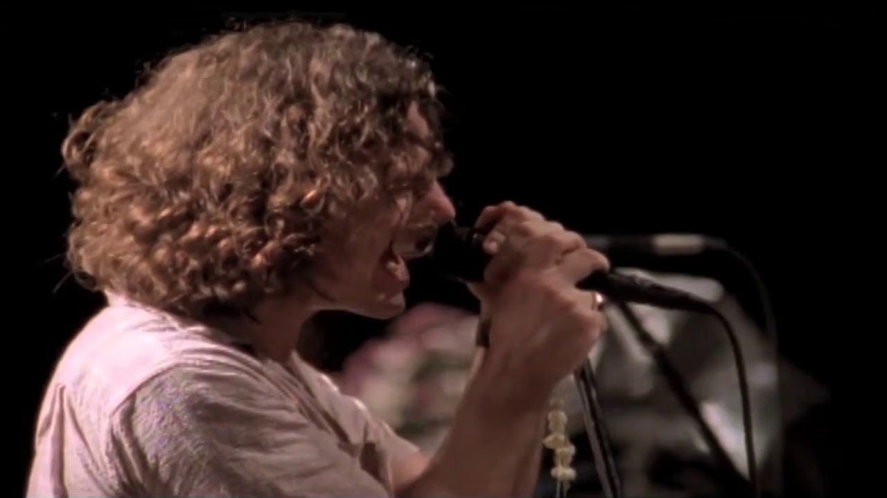 Pearl Jam: Sponsored By No One