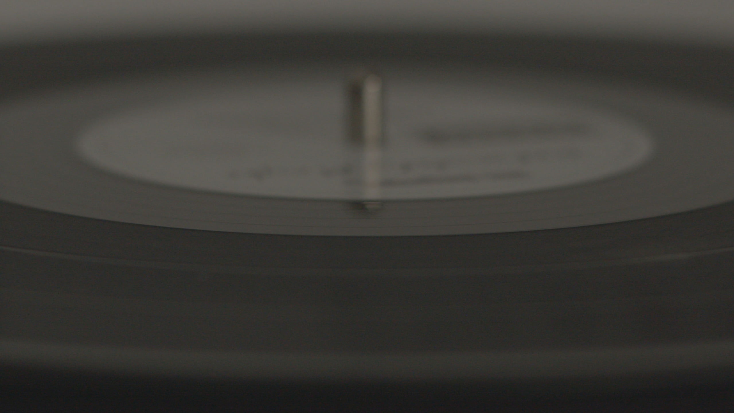 The Vinyl Player