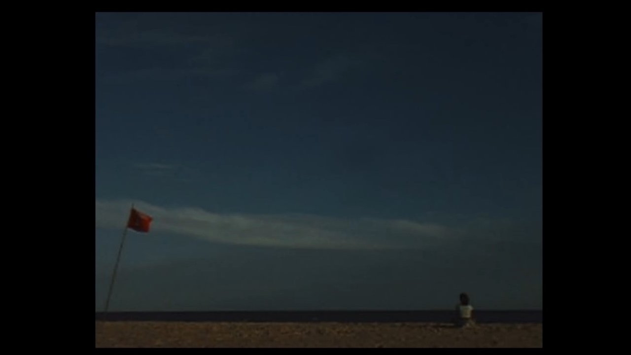 The Girl from the Beach