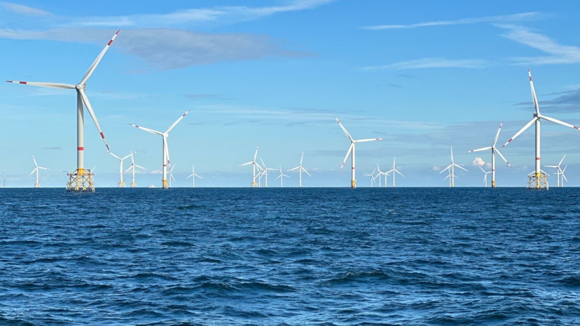 Windparks im Meer - Chance oder Risiko für die Natur?