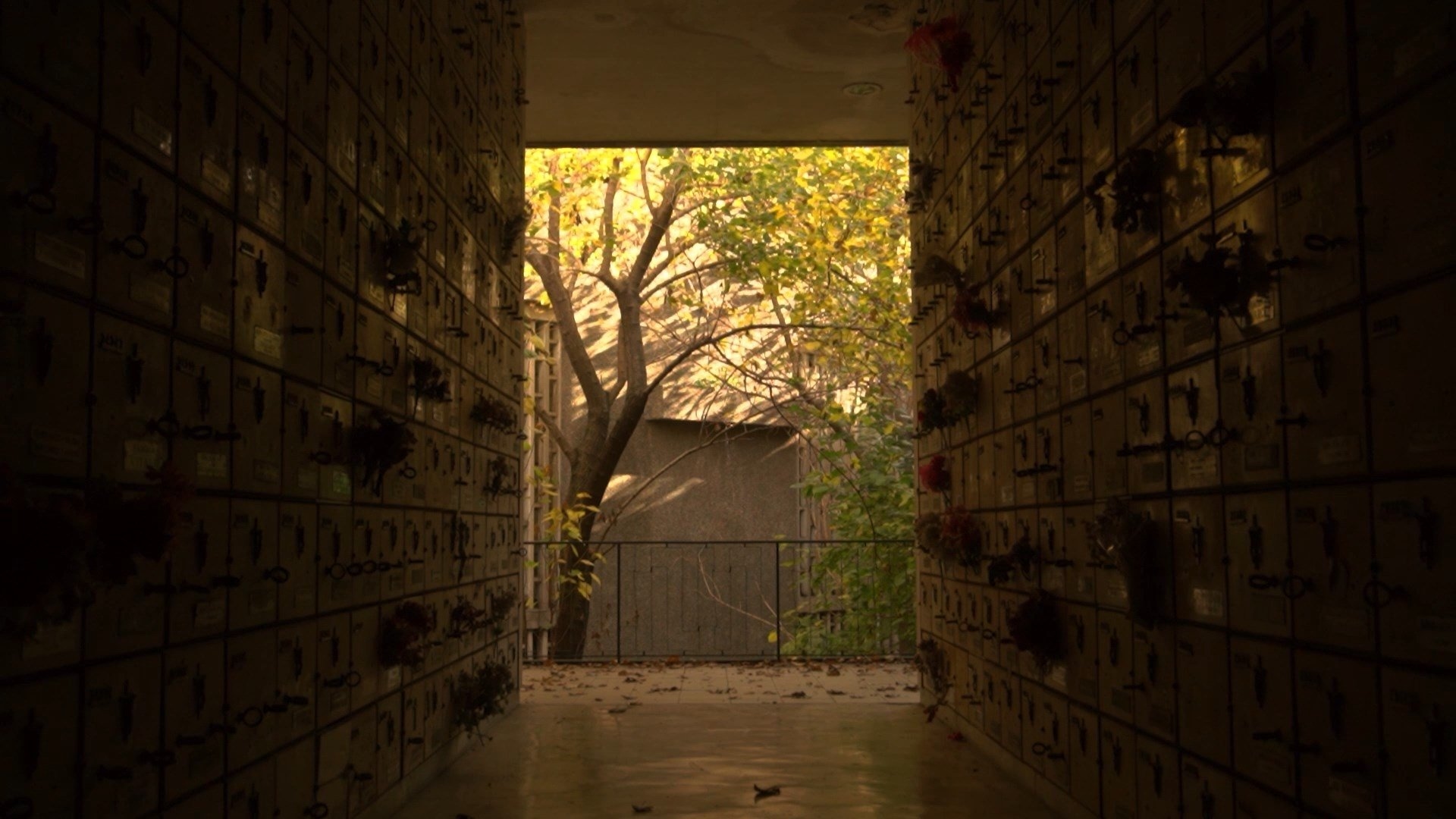 Sanctuary