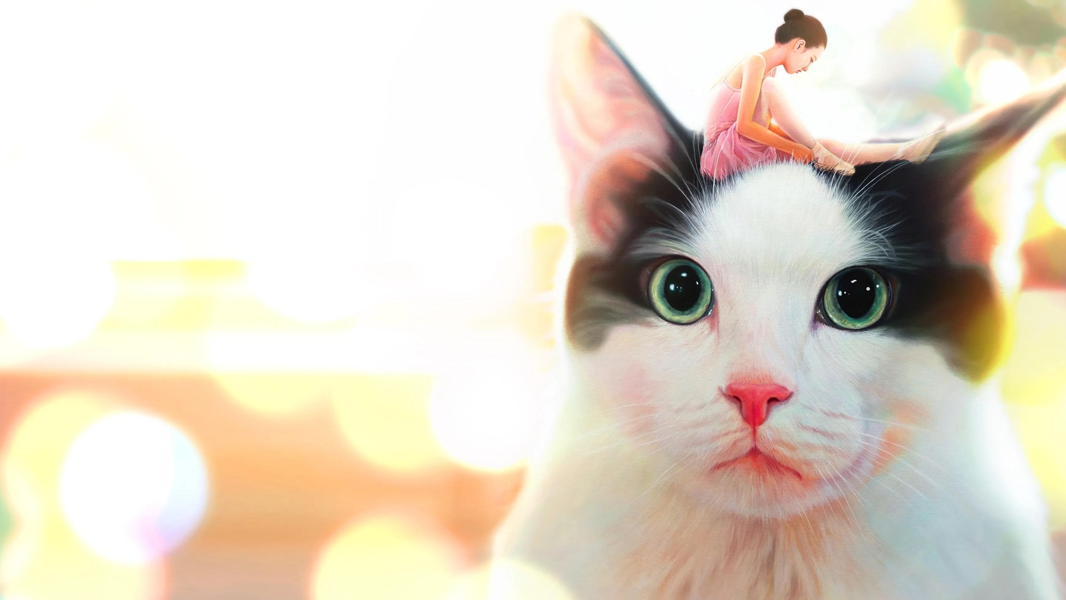 Hello, My Cat