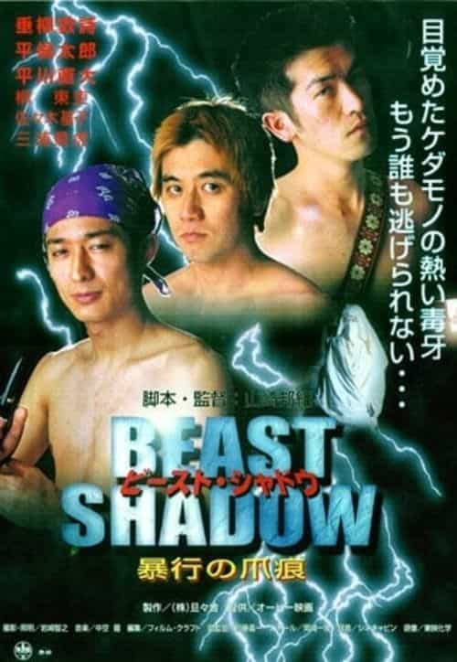 Beast Shadow: Scars of Assault