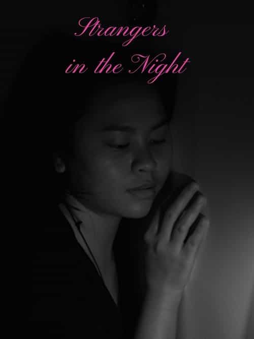 Strangers in the Night