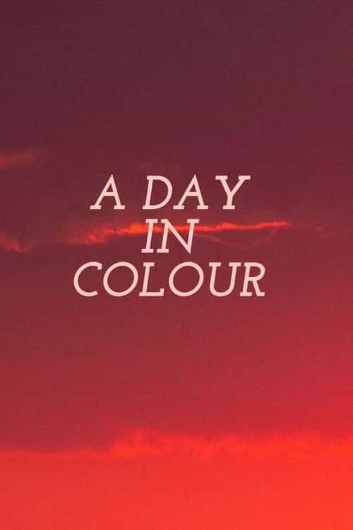 A Day in Colour