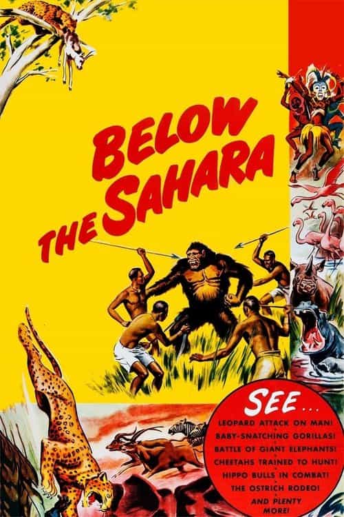 Below the Sahara