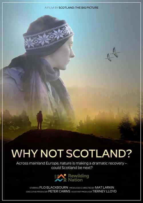 Why Not Scotland?