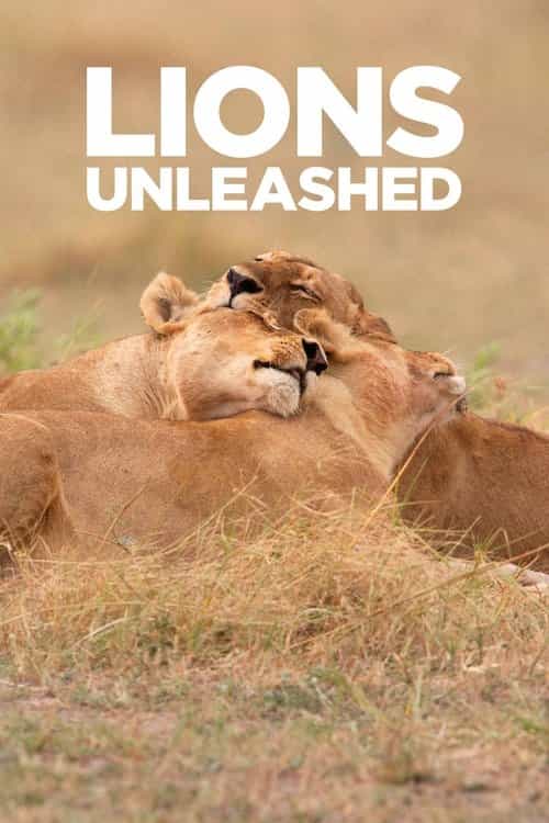Lions Unleashed