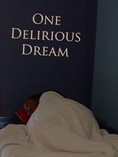 One Delirious Dream