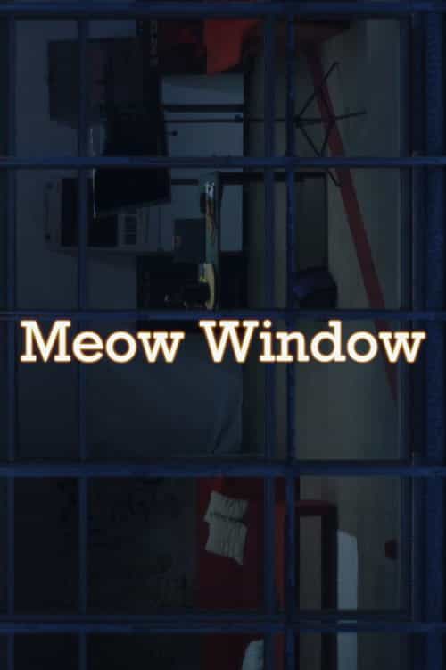 Meow Window