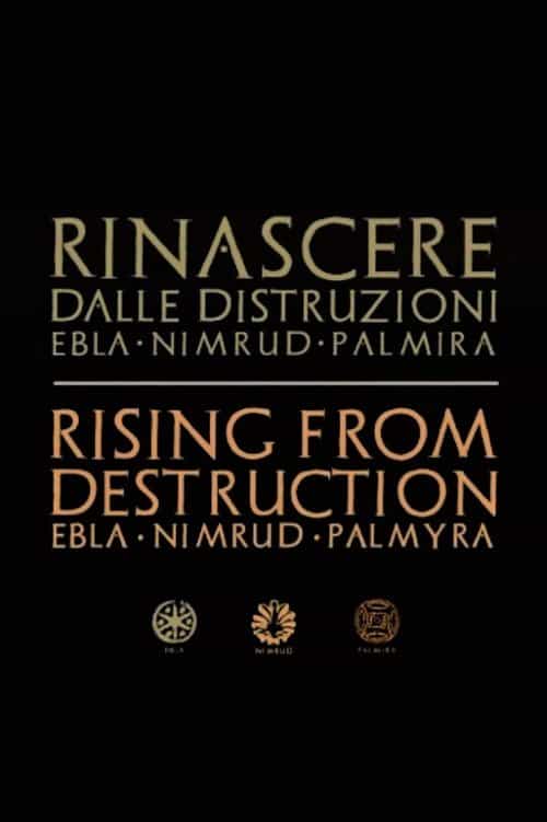 Palmyra: Rising from the Ashes