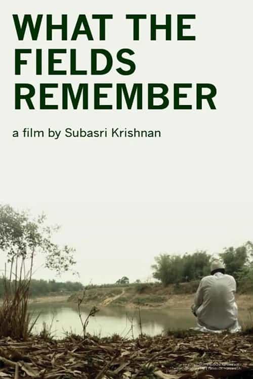 What the Fields Remember
