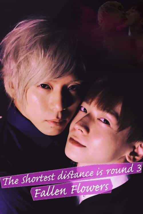 The Shortest Distance is Round 3: Fallen Flowers