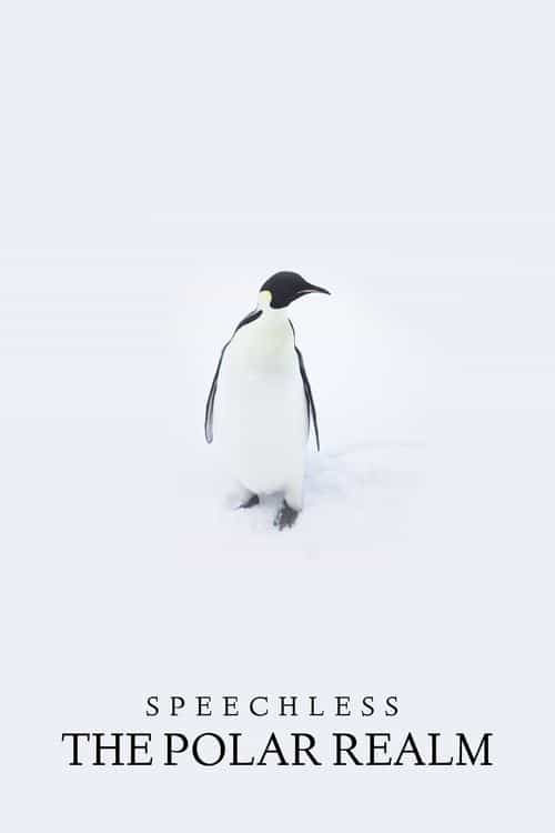 Speechless: The Polar Realm