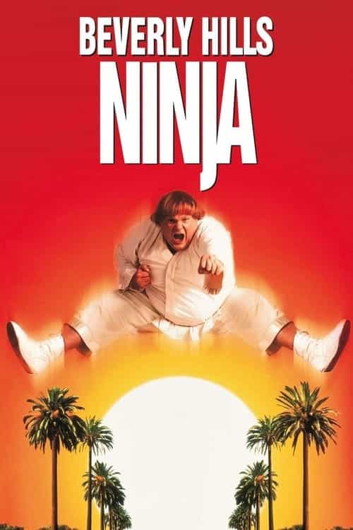 Beverly Hills Ninja