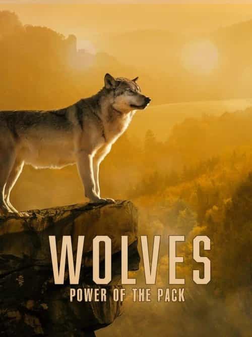 Wolves: Power of the Pack