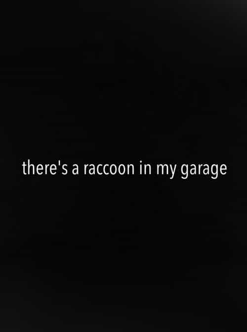 There's a Raccoon in My Garage