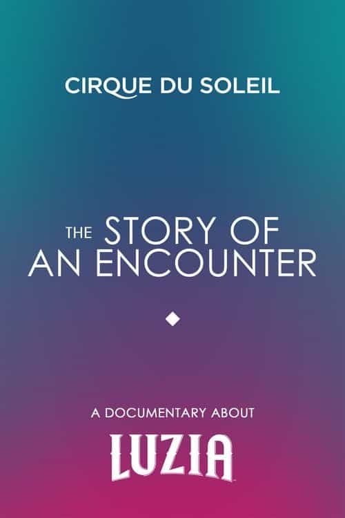 The Story Of An Encounter