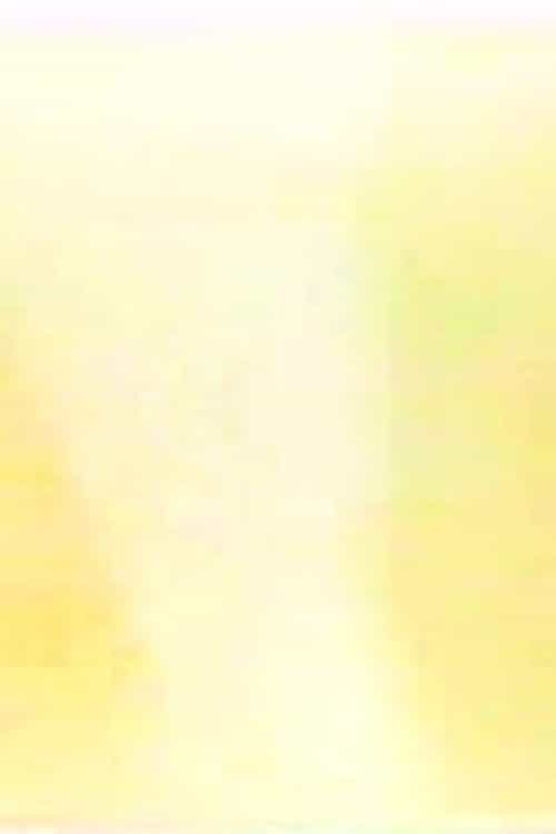 Sincerity V