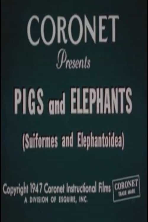Pigs and Elephants (Suiformes and Elephantoidea)