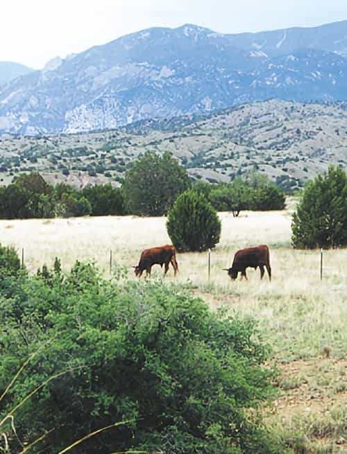 Whose Home on the Range?