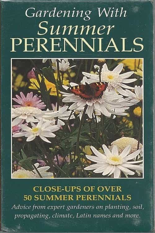Gardening with Summer Perennials