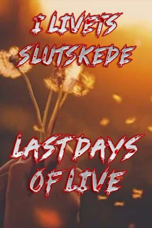 Last Days of Life