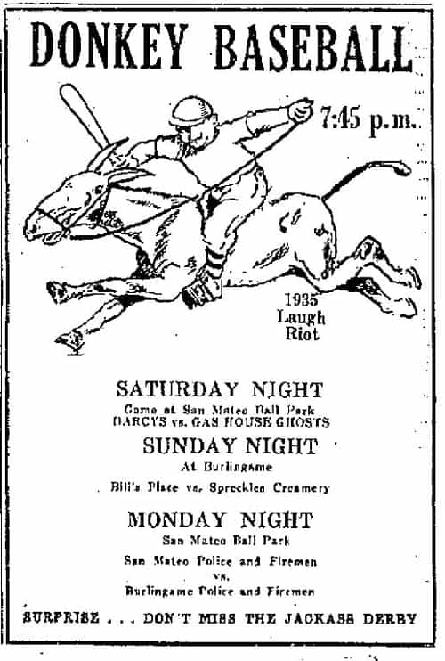 Donkey Baseball