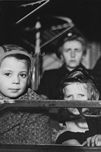 Report on the Refugee Situation